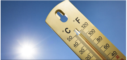 Common Summer Diseases Medical Coders Should Know 1 Common Summer Diseases